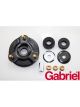 Gabriel Strut Mount