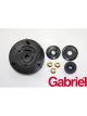 Gabriel Strut Mount