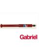 Gabriel Guardian Gas Shock Absorber