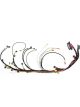 AEM Infinity 508(PN: 30-7108) Plug & Play Engine Harness: GM LS 58x
