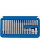 Draper Tools 3/8, 1/2 Sq. Dr. Ribe Socket And Bit Set 22 Piece
