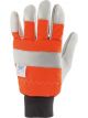 Draper Tools Chainsaw Gloves Size L/9