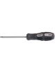 Draper Tools Expert Draper Tools TX-Star Driver T25 X 100mm Long