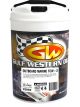Gulf Western Outboard Semi Synthetic Two Stroke Engine Oil TC-W3 20L