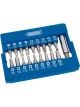 Draper Tools Magnetic Bit Holder Set 19 Piece