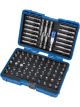 Draper Tools Screwdriver And Bit Holder Set 80 Piece