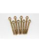 Advanced Engine Design Fuel Bowl Screws 1-7/8 and 2-1/2 in Long Hex Head
