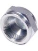 Aeroquip Fitting - Cap - 20 AN - Steel - Zinc Oxide - Each