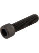 Allstar Performance Bolt 1/4-20 in Thread 0.750 in Long Allen Head G