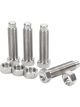 Allstar Performance Torsion Stop Weight Adjuster Bolt 7/16-20 in Thr…