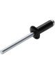 Allstar Performance Rivet Small 3/8 in Head 3/16 in Steel Mandrel 1/…