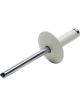 Allstar Performance Rivet Large 5/8 in Head 3/16 in Steel Mandrel 1/