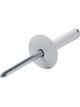 Allstar Performance Rivet Small 5/8 in Head 3/16 in Steel Mandrel 5/…
