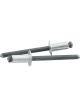 Allstar Performance Rivet 3/8 in Head 3/16 in Steel Mandrel 1/8-1/4