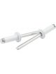 Allstar Performance Rivet 3/8 in Head 3/16 in Mandrel 1/4-3/8 in Gri
