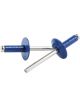 Allstar Performance Rivet 5/8 in Head 3/16 in Mandrel 1/4-3/8 in Gri
