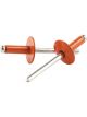 Allstar Performance Rivet 5/8 in Head 3/16 in Mandrel 1/4-3/8 in Gri