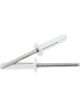 Allstar Performance Rivet Tri-Fold 1/2 in Head 3/16 in Steel Mandrel