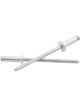 Allstar Performance Rivet 3/8 in Head 1/8 in Mandrel 1/8-1/4 in Grip