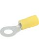 Allstar Performance Ring Terminal Insulated 12-10 Gauge Wire 1/4 in …