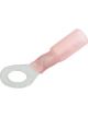 Allstar Performance Ring Terminal Heat Shrink 22-18 Gauge Wire 1/4 i…