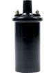 Allstar Performance Ignition Coil Canister Oil Filled 0.700 ohm Fema