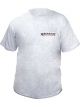Allstar Performance T-Shirt - Allstar Logo - Gray - Small - Each