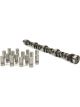 Crane Camshaft / Lifters Hydraulic Flat Tappet Lift 0.480 / 0.480 in D
