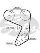 Gates PowerGrip Timing Belt