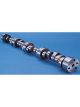 Crane Camshaft Mechanical Roller Lift 0.580 / 0.600 in Duration 282 /