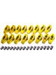 Crane Rocker Arm Gold Race 7/16 in Stud Mount 1.70 Ratio Full Roller