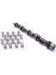 Crane Camshaft / Lifters Hydraulic Flat Tappet Lift 0.480 / 0.480 in D