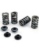 Crane Valve Spring Kit Single Spring / Damper 442 lb/in Spring Rate 0