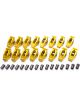 Crane Rocker Arm Gold Race 7/16 in Stud Mount 1.65 Ratio Full Roller