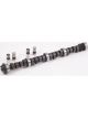 Crane Camshaft / Lifters Hydraulic Flat Tappet Lift 0.456 / 0.484 in D