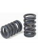 Crane Valve Spring Single Spring / Damper 310 lb/in Spring Rate 1.13
