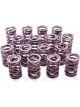 Crane Valve Spring Dual Spring / Damper 404 lb/in Spring Rate 1.175