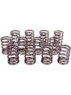 Crane Valve Spring Single Spring 328 lb/in Spring Rate 1.080 in Coil (99833-12)