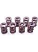 Crane Valve Spring Dual Spring 438 lb/in Spring Rate 0.950 in Coil Bi