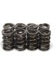 Crane Valve Spring Dual Spring 290 lb/in Spring Rate 0.865 in Coil Bi
