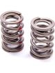 Crane Valve Spring Dual Spring 391 lb/in Spring Rate 1.080 in Coil Bi