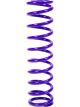 Draco Racing Coil Spring Coil-Over 1.875 in ID 10.000 in Le