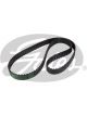 Gates PowerGrip Timing Belt