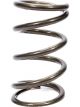 Eibach Coil Spring Platinum Conventional 5.0 in OD 9.500 in L