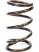 Eibach Coil Spring Platinum Conventional 5.0 in OD 9.500 in L
