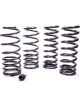 Ford Suspension Spring Kit Lowering 4 Coil Springs Black / Silver Po