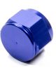 Fragola Fitting - Cap - 16 AN - Aluminum - Blue Anodize - Each