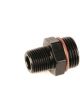 Fragola Fitting Adapter Straight 1/2 in NPT Male to 10 AN Male O-Ri