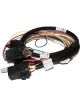 Fast Electric Fan and Fuel Pump Harness For XFI