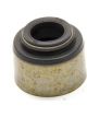 Gm Performance Parts Valve Stem Seal Umbrella 11/32 in Valve Stem 0.